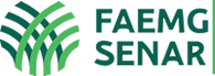Novo EaD